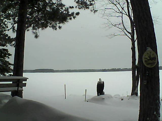 Whiteface Cam Image - Mon, 01/09/2017 11:47am 