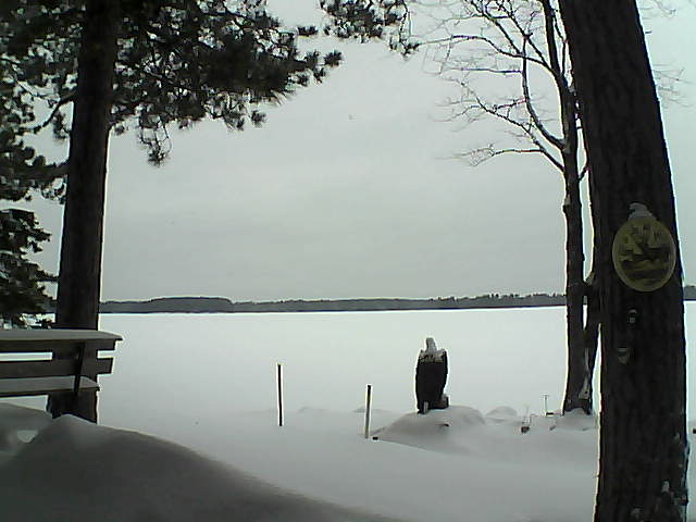 Whiteface Cam Image - Mon, 01/09/2017 12:08pm 