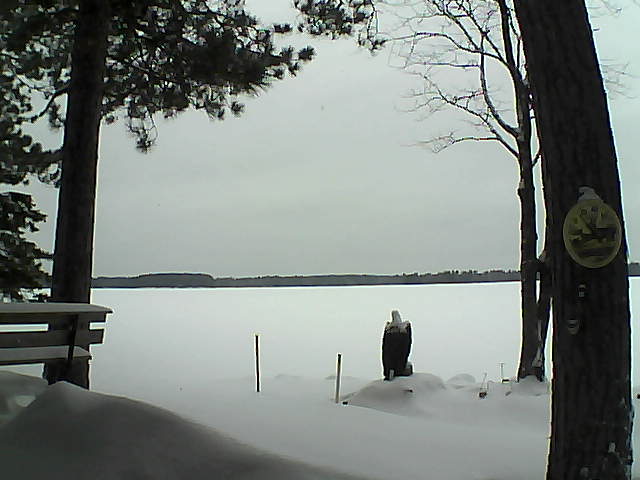 Whiteface Cam Image - Mon, 01/09/2017 12:28pm 