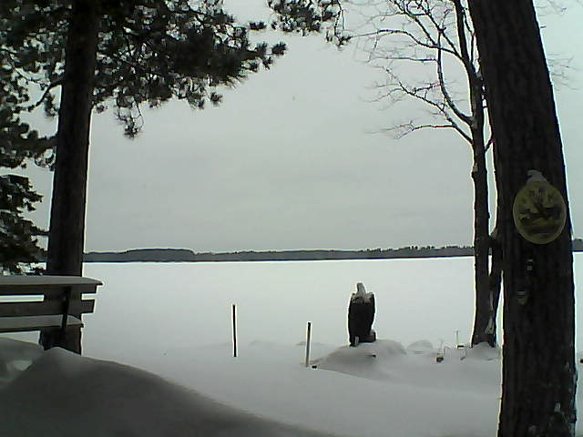 Whiteface Cam Image - Mon, 01/09/2017 12:38pm 