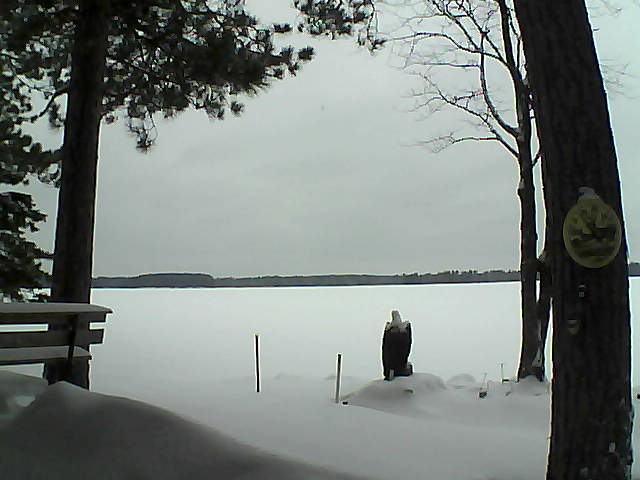 Whiteface Cam Image - Mon, 01/09/2017 12:58pm 