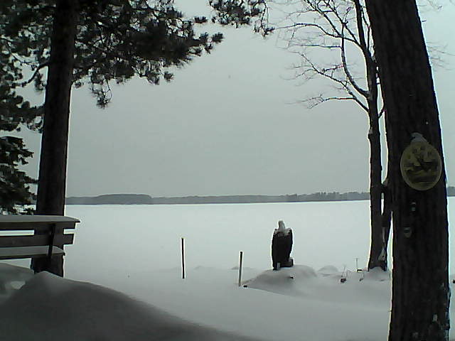 Whiteface Cam Image - Mon, 01/09/2017 2:28pm 