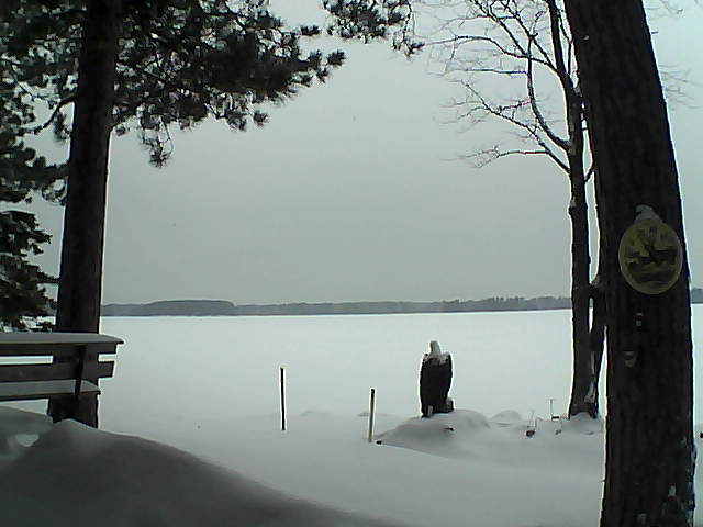 Whiteface Cam Image - Mon, 01/09/2017 2:38pm 