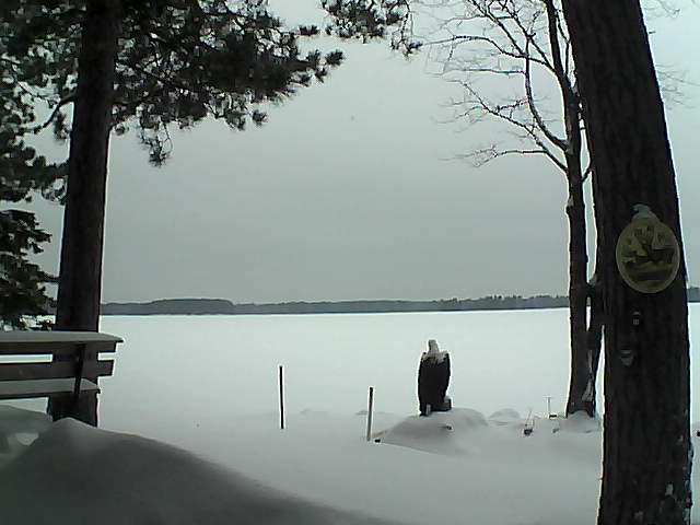 Whiteface Cam Image - Mon, 01/09/2017 2:58pm 