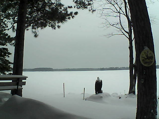 Whiteface Cam Image - Mon, 01/09/2017 3:28pm 