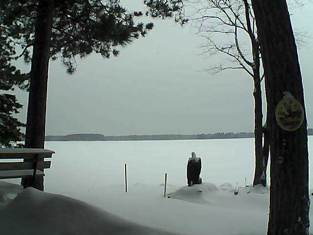 Whiteface Cam Image - Mon, 01/09/2017 3:38pm 