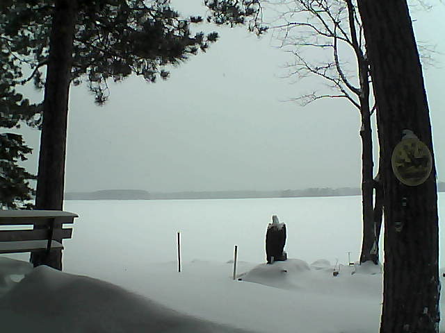 Whiteface Cam Image - Mon, 01/09/2017 3:48pm 