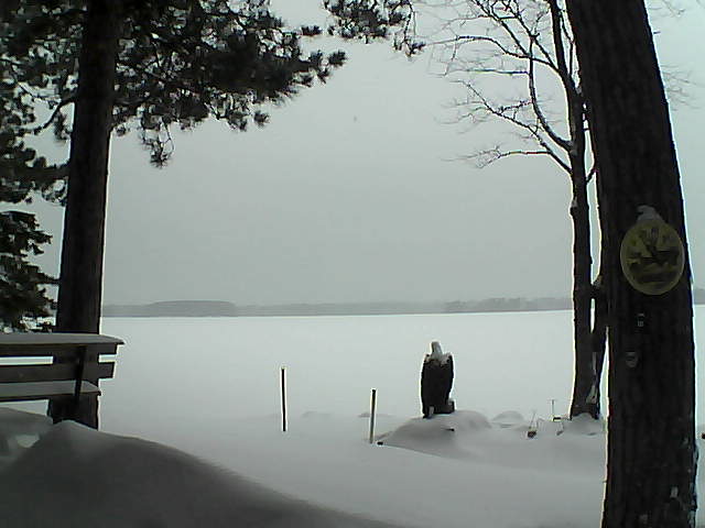 Whiteface Cam Image - Mon, 01/09/2017 3:58pm 