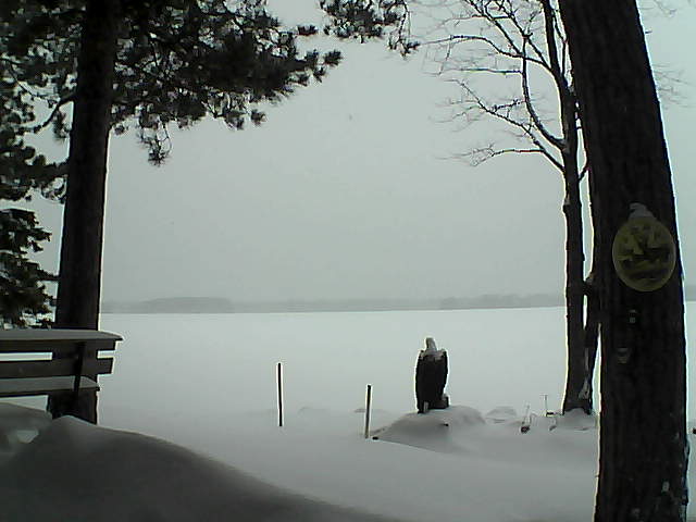 Whiteface Cam Image - Mon, 01/09/2017 4:08pm 