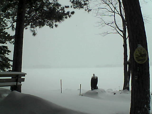 Whiteface Cam Image - Mon, 01/09/2017 4:38pm 