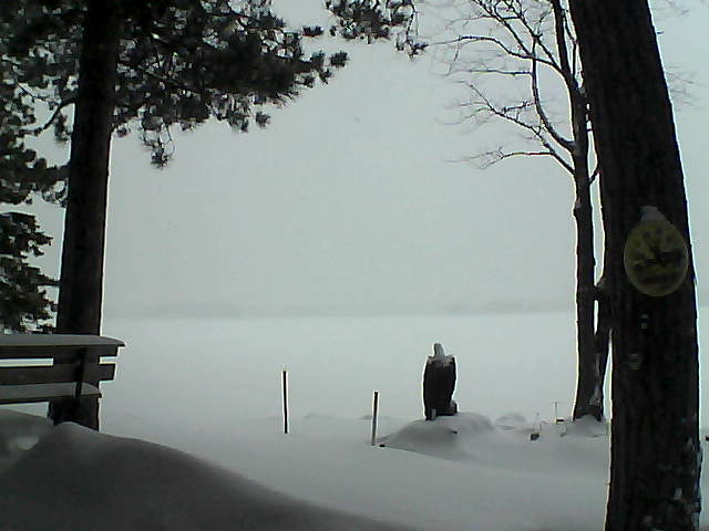 Whiteface Cam Image - Mon, 01/09/2017 4:48pm 