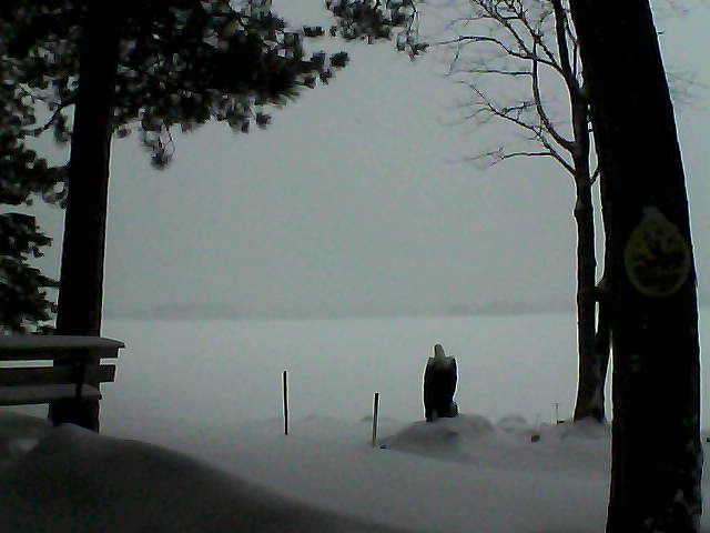 Whiteface Cam Image - Mon, 01/09/2017 4:58pm 