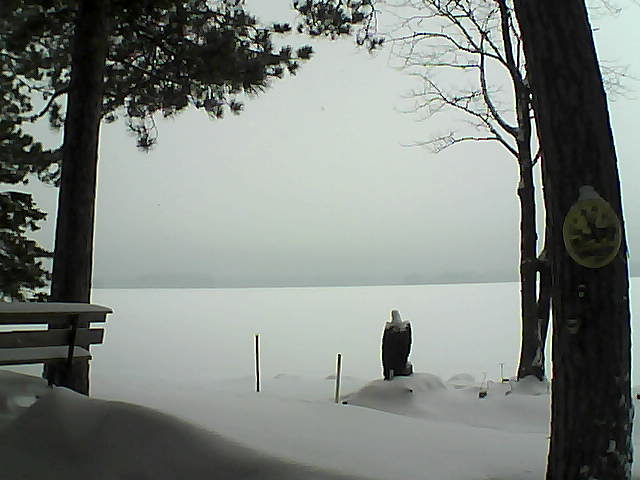 Whiteface Cam Image - Tue, 01/10/2017 8:29am 