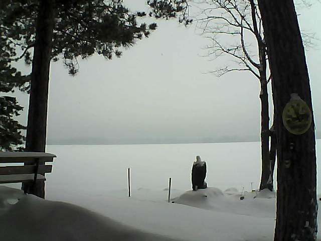 Whiteface Cam Image - Tue, 01/10/2017 8:39am 