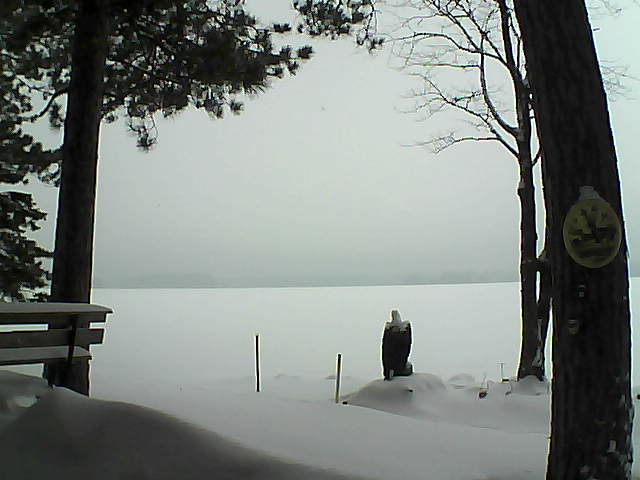 Whiteface Cam Image - Tue, 01/10/2017 9:09am 