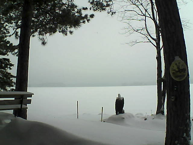 Whiteface Cam Image - Tue, 01/10/2017 9:19am 