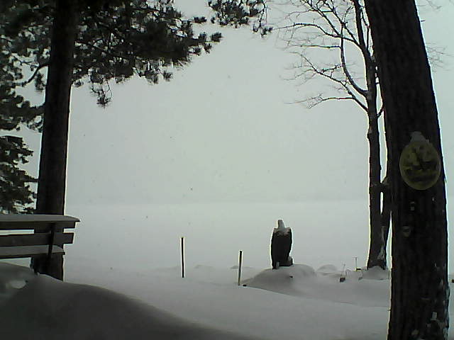 Whiteface Cam Image - Tue, 01/10/2017 9:29am 