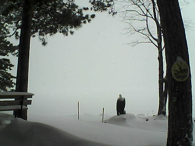 Whiteface Cam Image - Tue, 01/10/2017 9:39am 