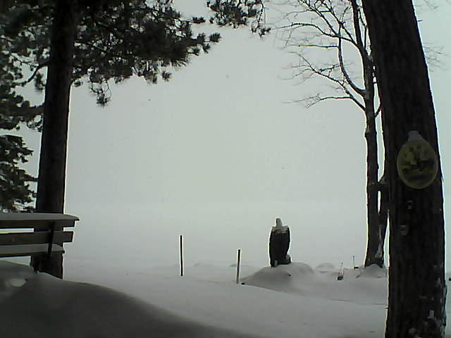 Whiteface Cam Image - Tue, 01/10/2017 9:59am 