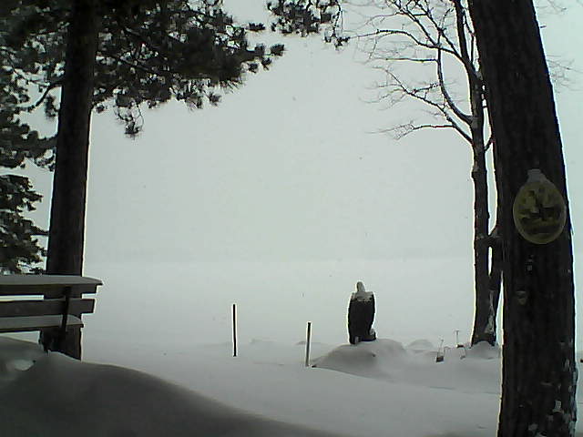 Whiteface Cam Image - Tue, 01/10/2017 10:39am 