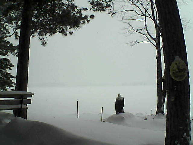 Whiteface Cam Image - Tue, 01/10/2017 10:49am 