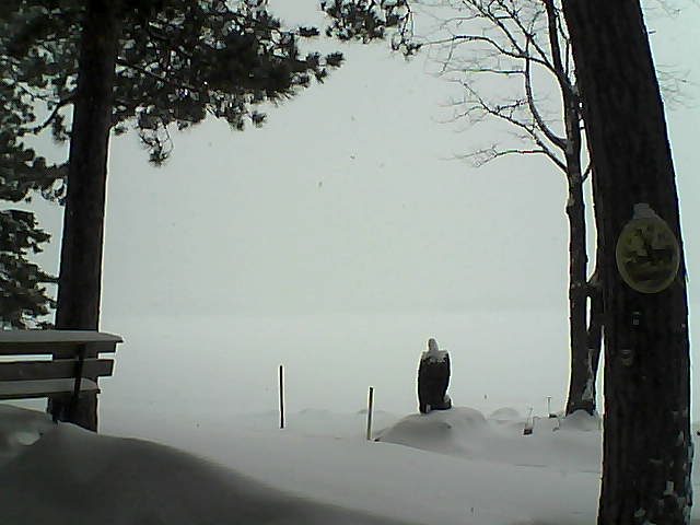 Whiteface Cam Image - Tue, 01/10/2017 11:09am 