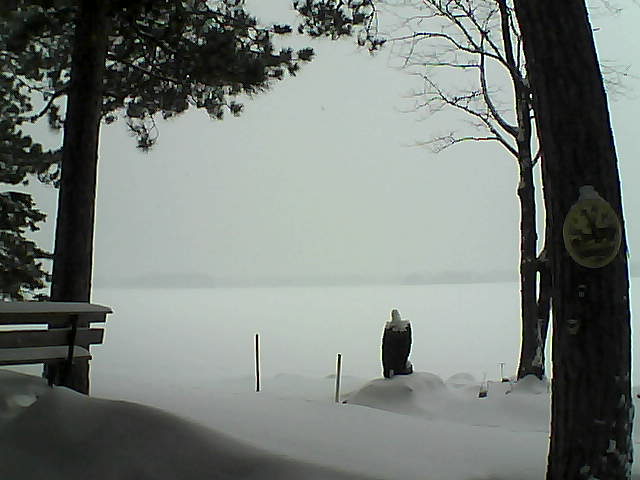 Whiteface Cam Image - Tue, 01/10/2017 11:19am 