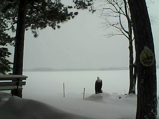 Whiteface Cam Image - Tue, 01/10/2017 11:29am 