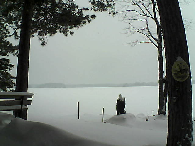 Whiteface Cam Image - Tue, 01/10/2017 11:39am 