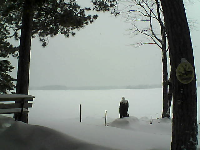 Whiteface Cam Image - Tue, 01/10/2017 11:49am 