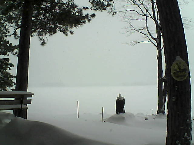 Whiteface Cam Image - Tue, 01/10/2017 11:59am 