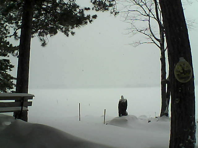 Whiteface Cam Image - Tue, 01/10/2017 12:09pm 