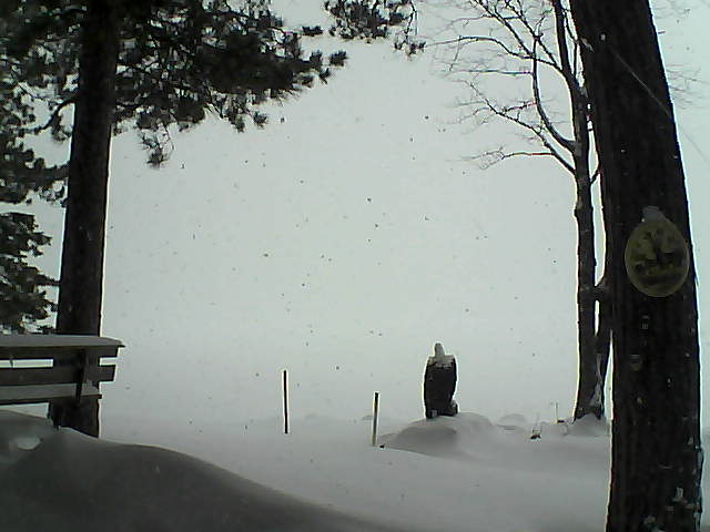 Whiteface Cam Image - Tue, 01/10/2017 12:19pm 