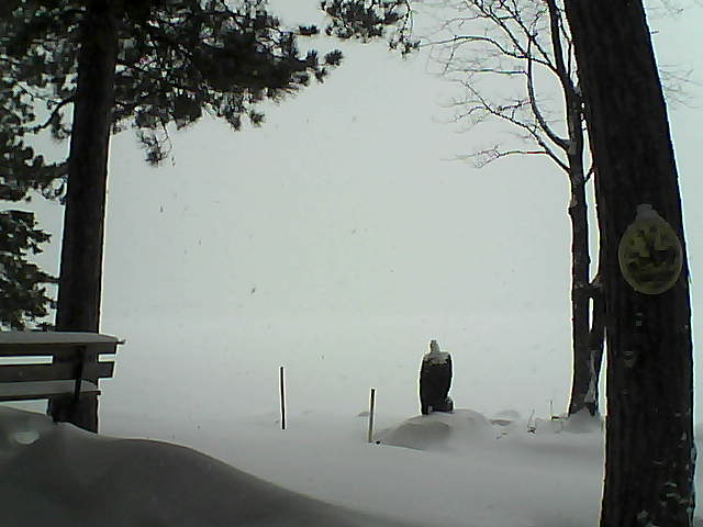 Whiteface Cam Image - Tue, 01/10/2017 12:59pm 