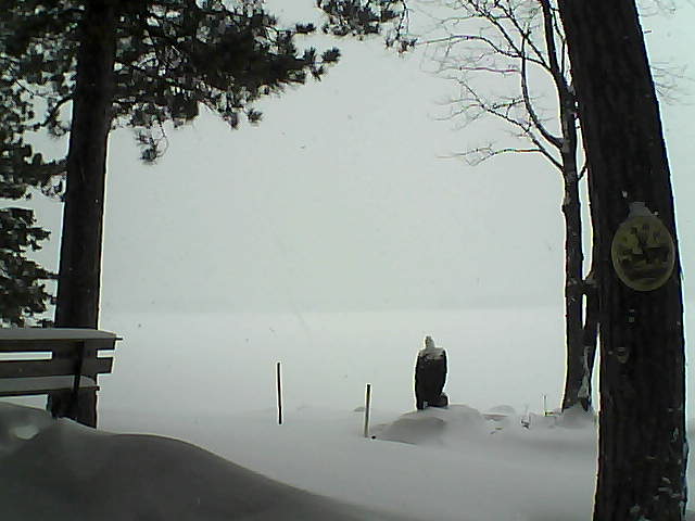 Whiteface Cam Image - Tue, 01/10/2017 1:09pm 