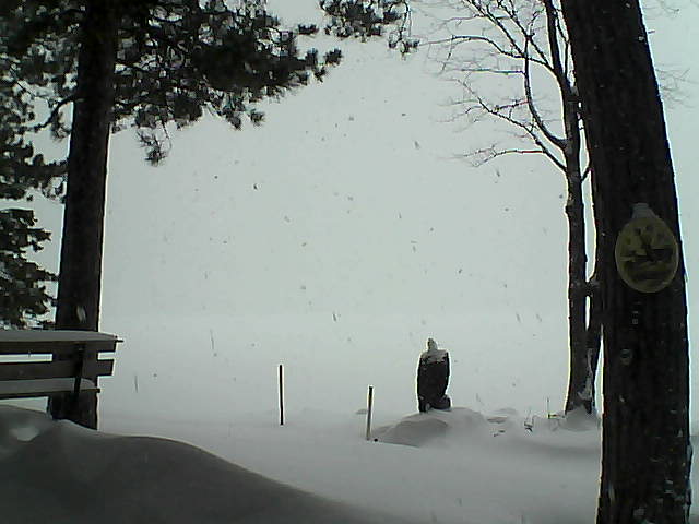 Whiteface Cam Image - Tue, 01/10/2017 1:39pm 