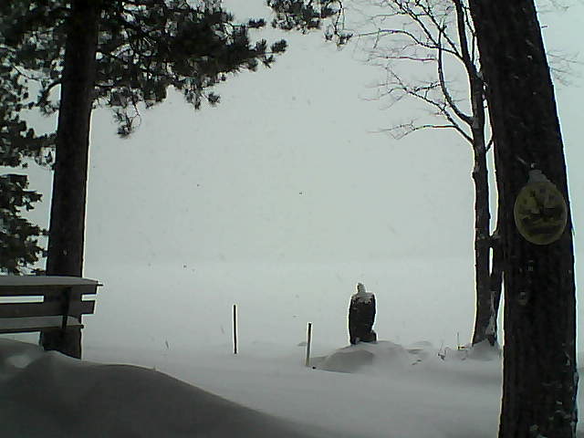 Whiteface Cam Image - Tue, 01/10/2017 1:49pm 