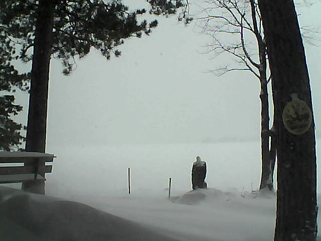 Whiteface Cam Image - Tue, 01/10/2017 2:29pm 