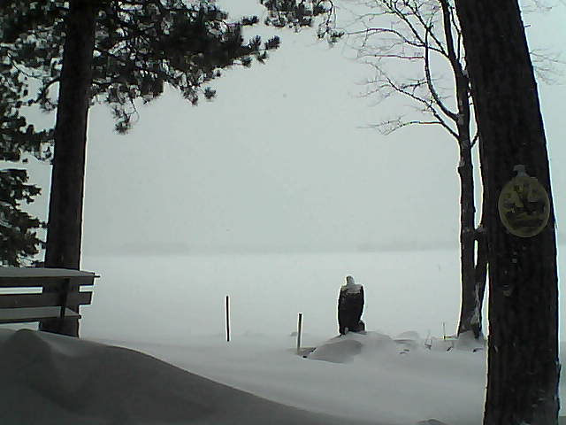 Whiteface Cam Image - Tue, 01/10/2017 2:49pm 