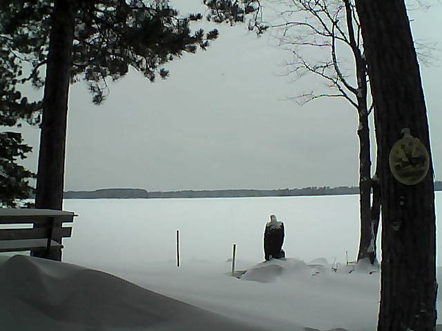 Whiteface Cam Image - Tue, 01/10/2017 3:09pm 