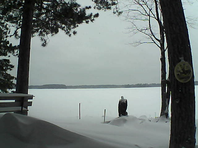 Whiteface Cam Image - Tue, 01/10/2017 3:19pm 