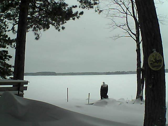 Whiteface Cam Image - Tue, 01/10/2017 3:49pm 