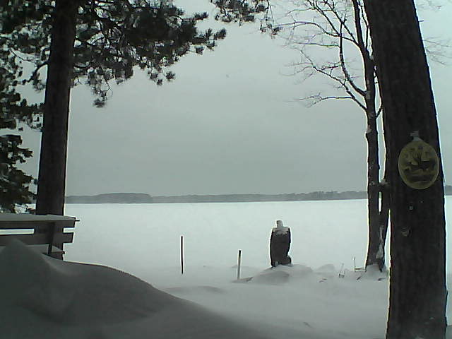 Whiteface Cam Image - Tue, 01/10/2017 4:19pm 