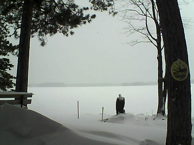 Whiteface Cam Image - Wed, 01/11/2017 8:30am 