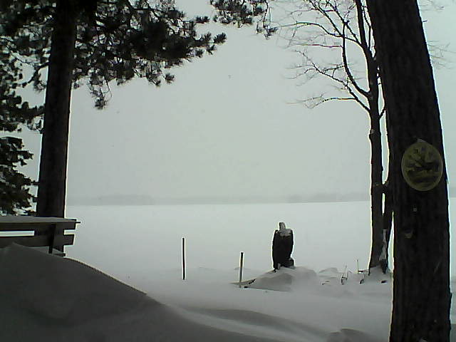 Whiteface Cam Image - Wed, 01/11/2017 8:50am 