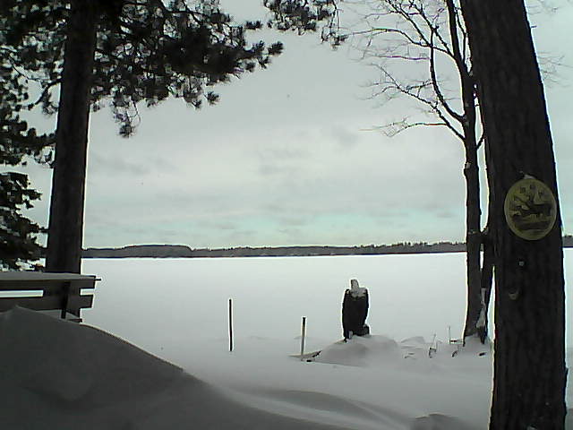 Whiteface Cam Image - Wed, 01/11/2017 10:40am 