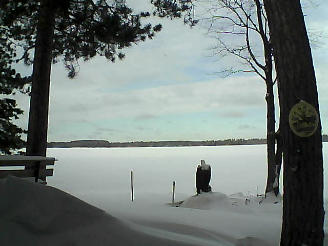 Whiteface Cam Image - Wed, 01/11/2017 10:50am 