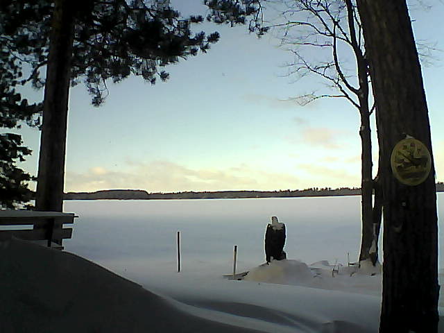 Whiteface Cam Image - Wed, 01/11/2017 11:40am 