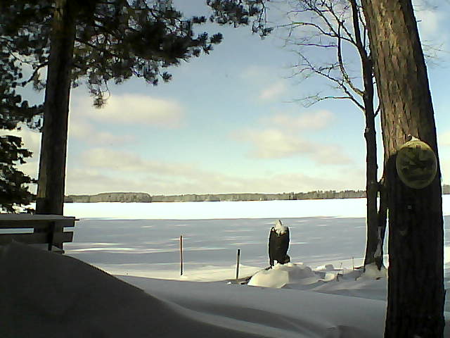 Whiteface Cam Image - Wed, 01/11/2017 12:00pm 