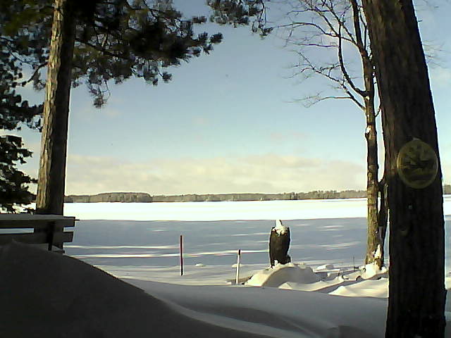 Whiteface Cam Image - Wed, 01/11/2017 12:30pm 